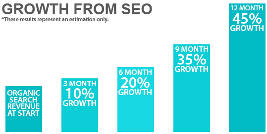 SEO Company Katy Businesses Sees Growth from Digital Marketing